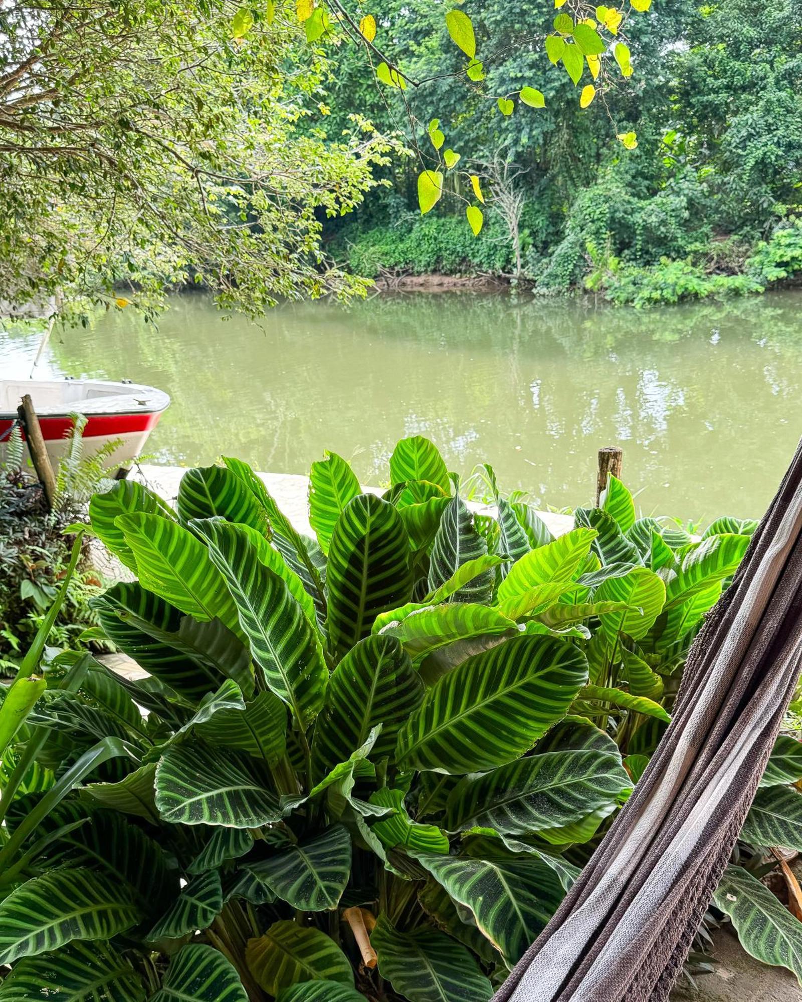 Pousada Rumo Dos Ventos Paraty Bagian luar foto